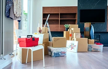 move in or move out cleaning