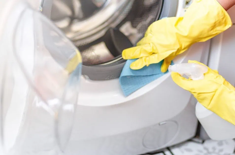 Hand in protective glove carefully cleaning the washing machine Regular clean up Maid cleans house