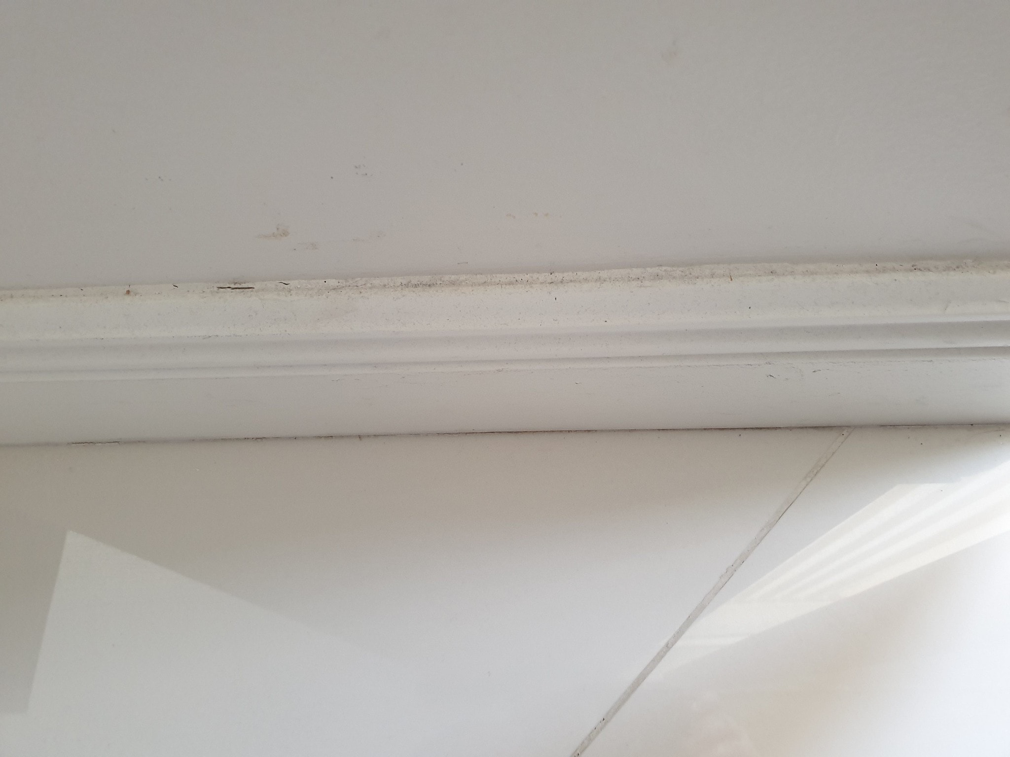 How To Clean Baseboards Best Process + Tips & Tricks KCS Kitchener
