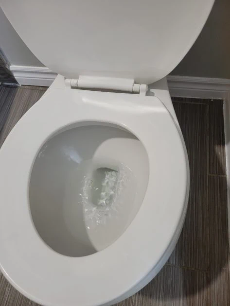cleaned bathroom view of clean toilet