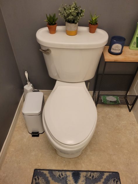 cleaned toilet seat down