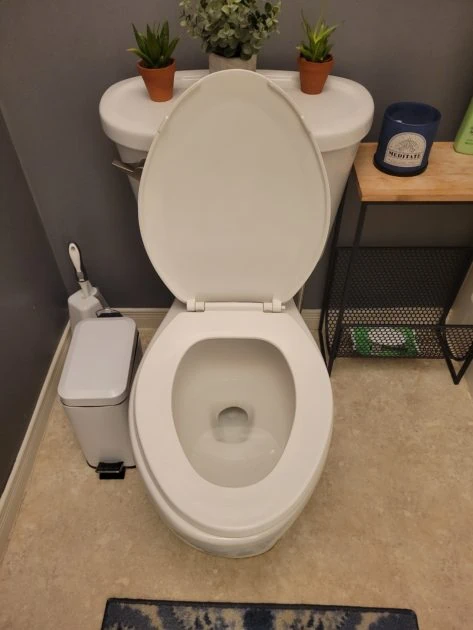 cleaned toilet seat up