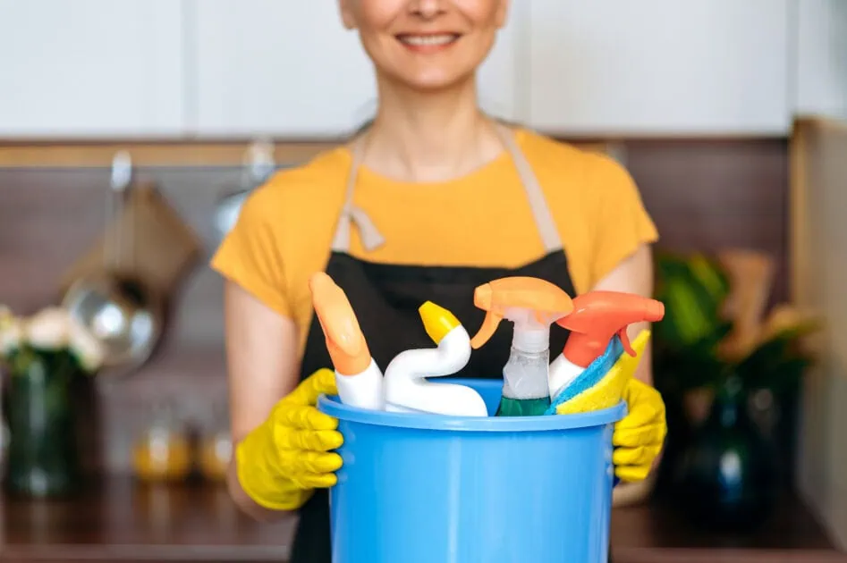 mature cleaning service cleaner woman housewife